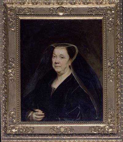 Ritratto di una signora, c.1660 da Jacob Jordaens